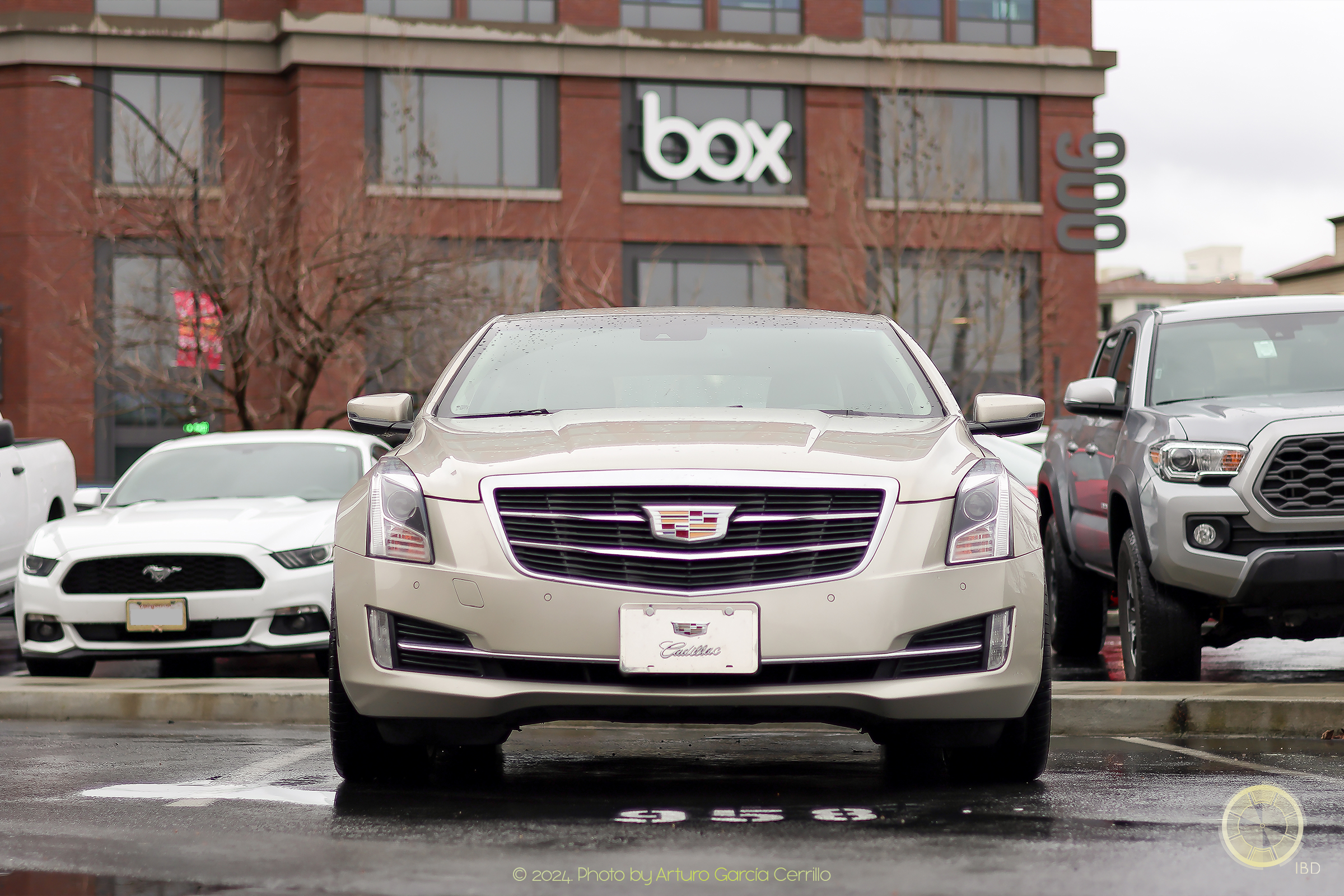 Picture of golden cadillac parked front view