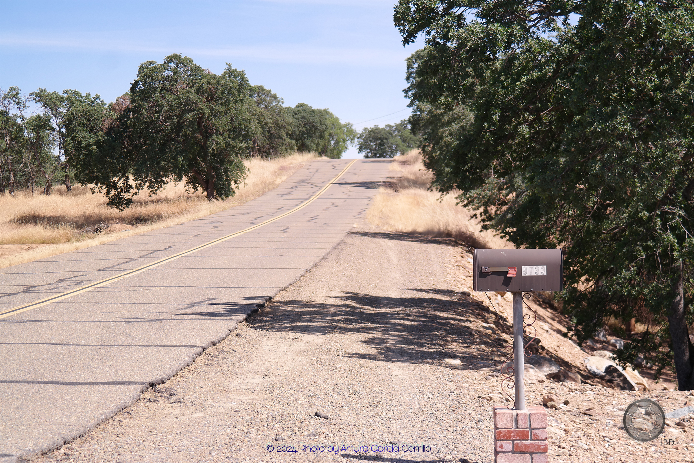 Picture of a dry soil landscape with dark-green leafy trees and a road in the middle