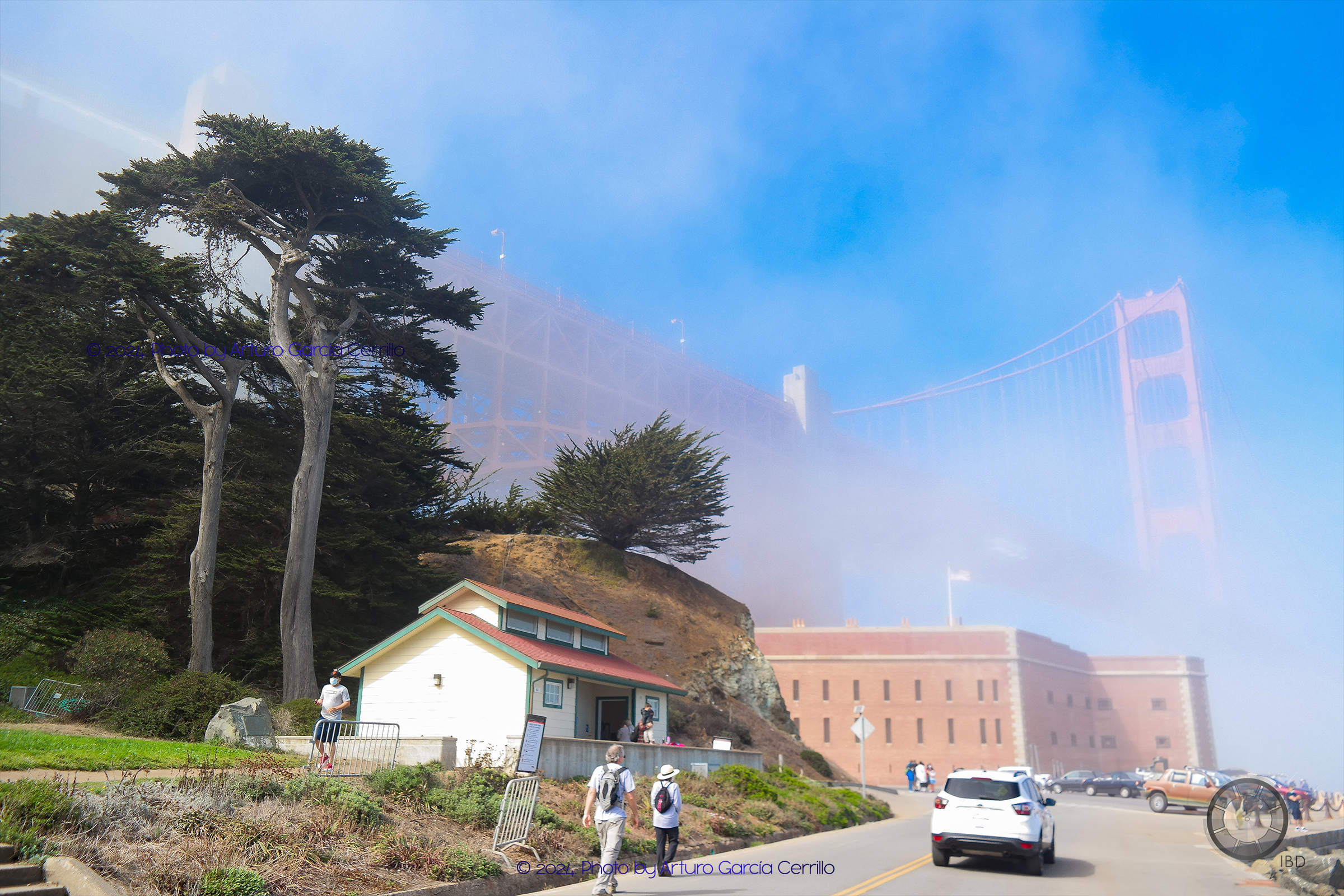 Picture of a hazy landscape with tall trees and San Francisco's Fort Point.