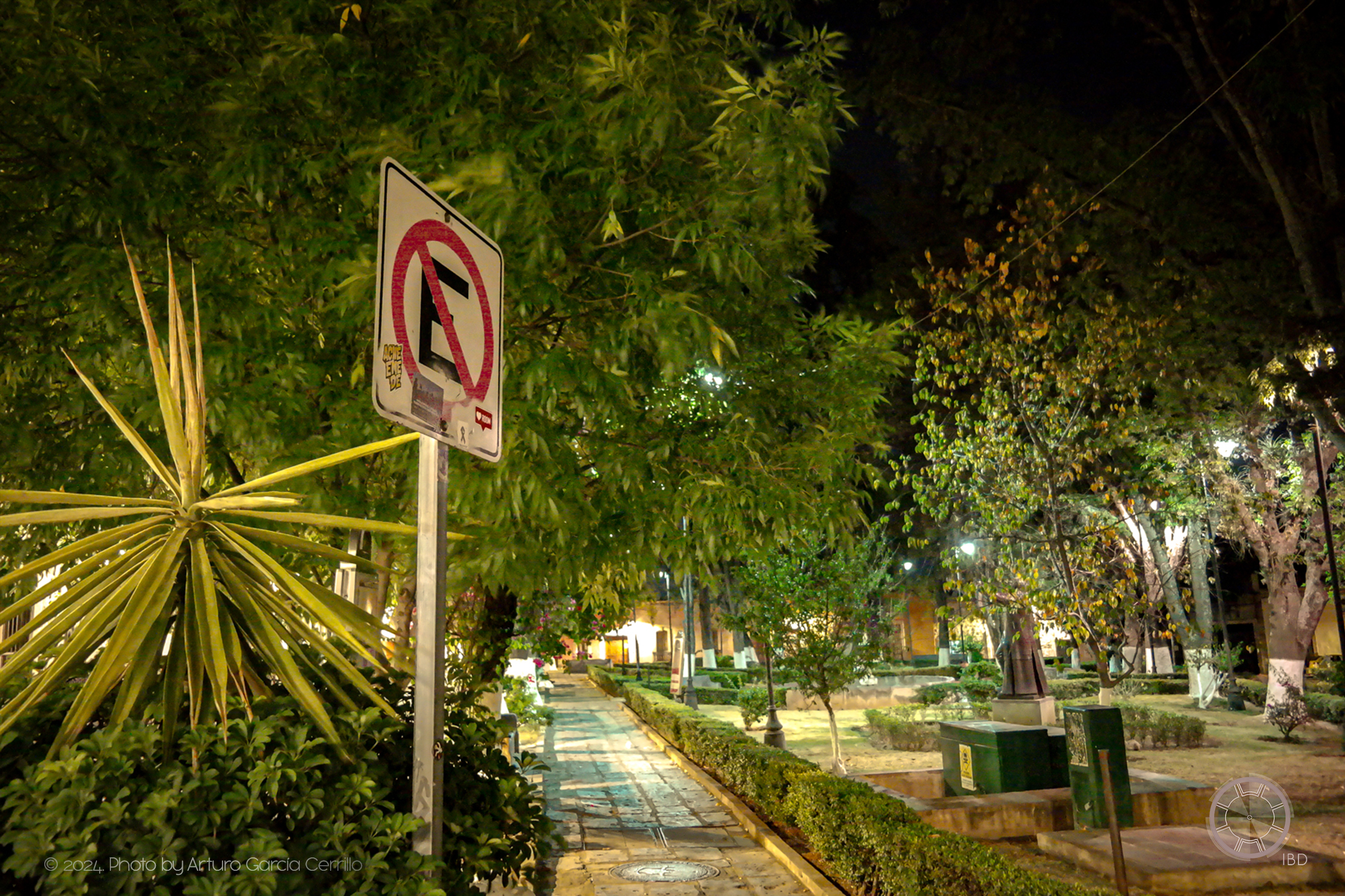 Picture at night of Morelia street of green trees and plants in the sides of a stone alleyway