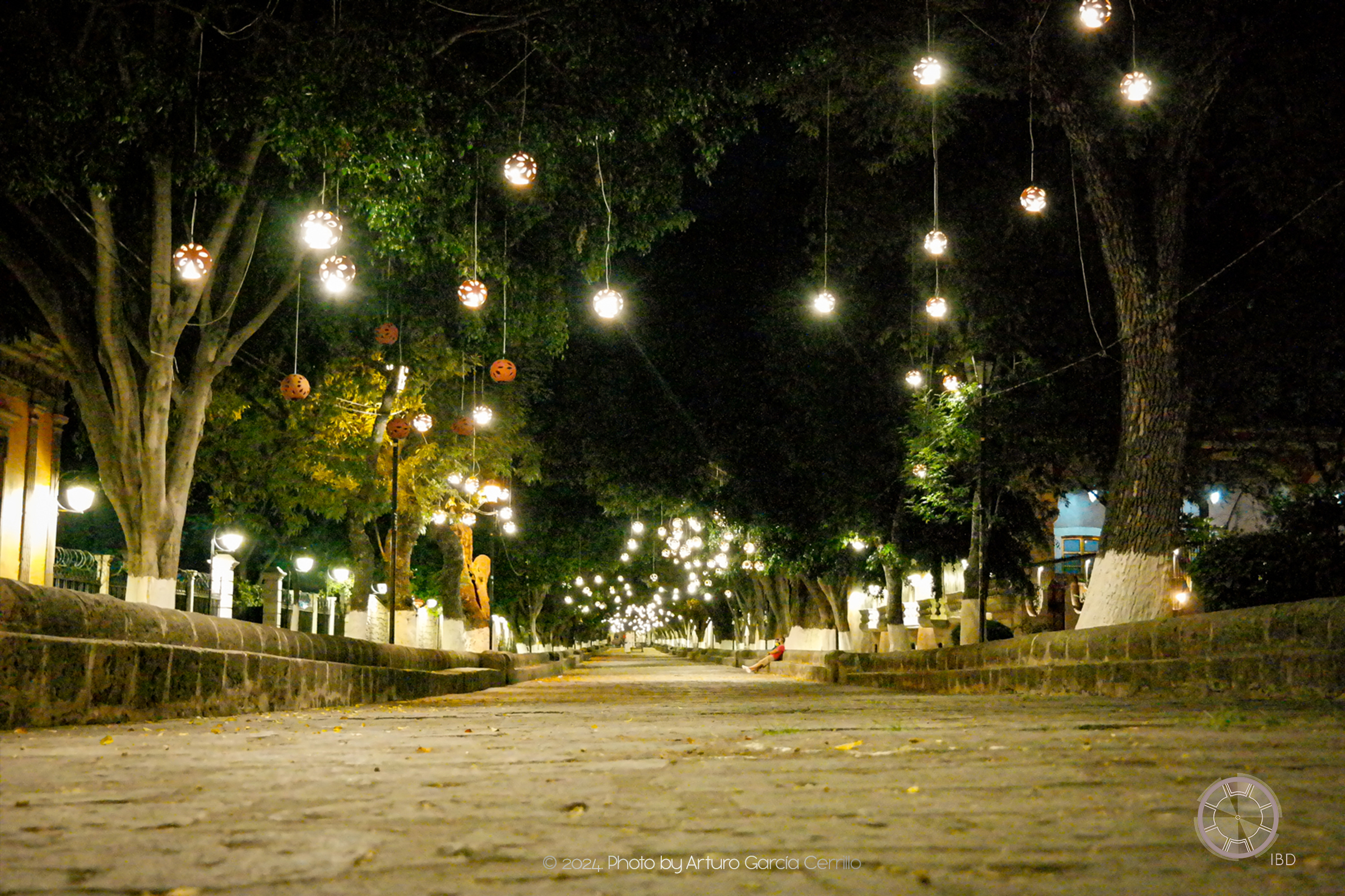 Picture of Morelia's calzada at night with light fixtures hanging