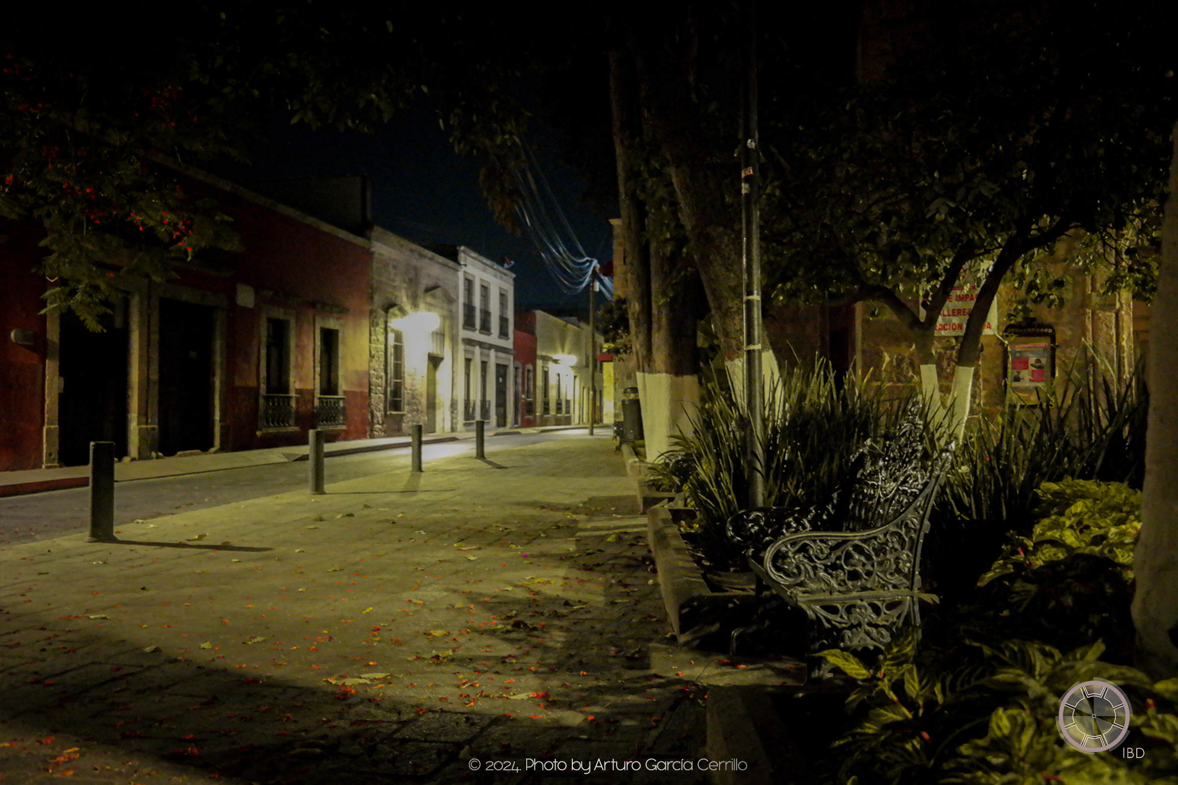 Picture of one of Morelia's street at night showing metal bench and trees