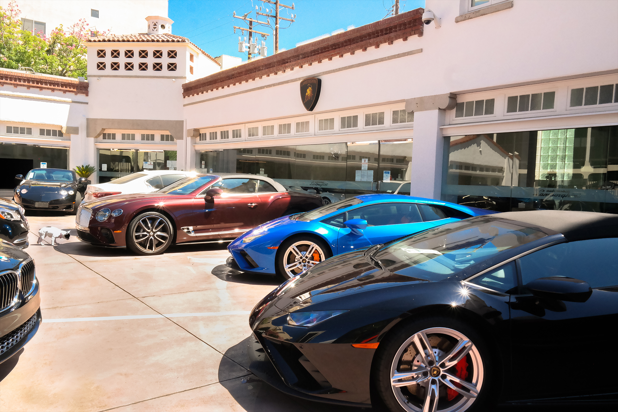 Picture of parking lot area of Lamborghini Beverly Hills showing luxury cars